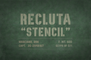Bring Your Creations to Life with Recluta Font