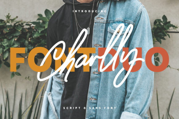 Charlly: A Stylish Display Font for Modern Web Design