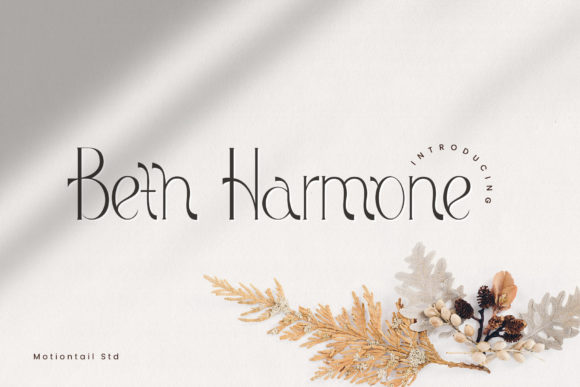 Elevate Your Brand with Beth Harmone: A Modern Display Font