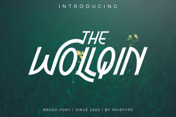 The Wollqin: A Brush Style Display Font for Editorial Brilliance