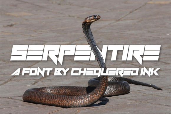 Transform Your Brand with Serpentire: A Bold Techno Font